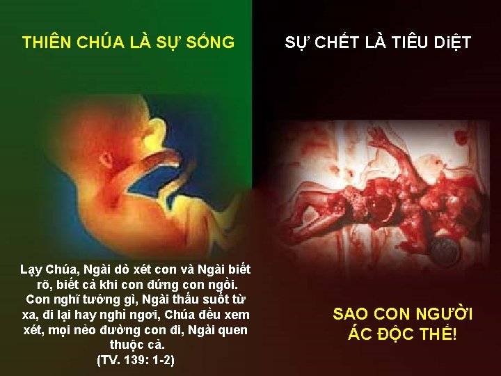 THIÊN CHÚA LÀ SỰ SỐNG Lạy Chúa, Ngài dò xét con và Ngài biết