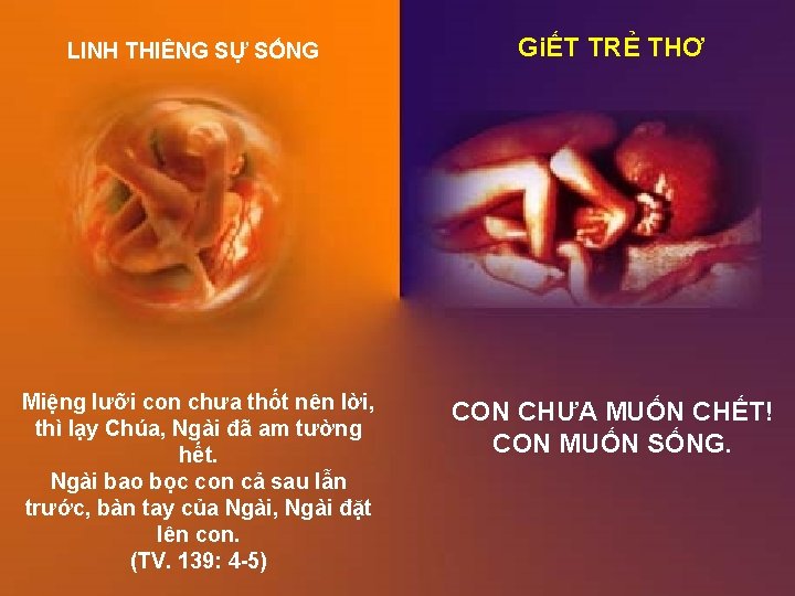 LINH THIÊNG SỰ SỐNG GiẾT TRẺ THƠ Miệng lưỡi con chưa thốt nên lời,