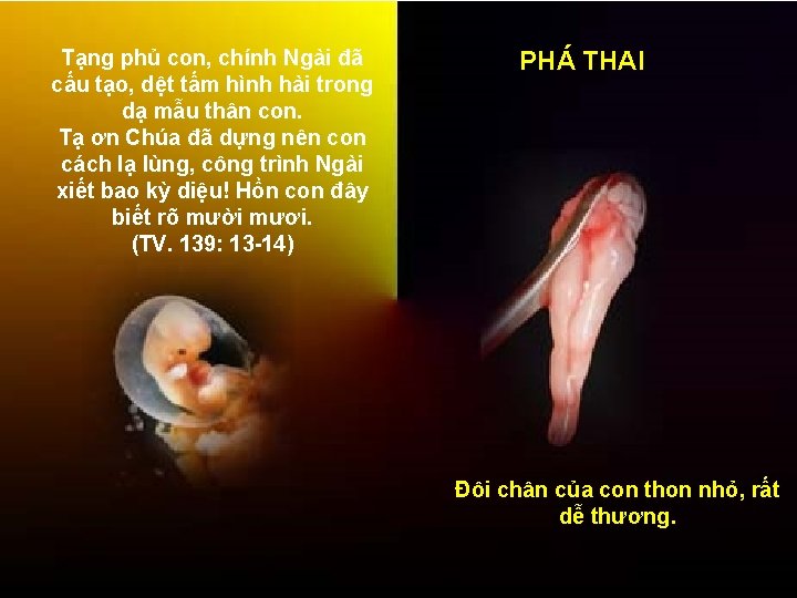 Tạng phủ con, chính Ngài đã cấu tạo, dệt tấm hình hài trong dạ