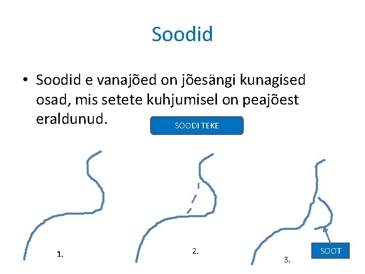 Soodid • Soodid e vanajõed on jõesängi kunagised osad, mis setete kuhjumisel on peajõest