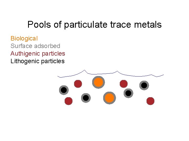 Pools of particulate trace metals Biological Surface adsorbed Authigenic particles Lithogenic particles 