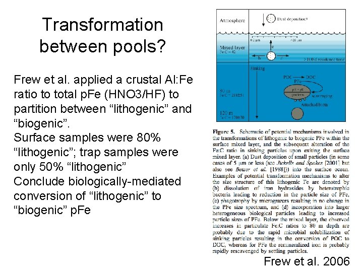 Transformation between pools? Frew et al. applied a crustal Al: Fe ratio to total