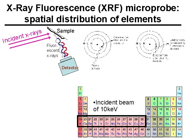 X-Ray Fluorescence (XRF) microprobe: spatial distribution of elements n e d i c In