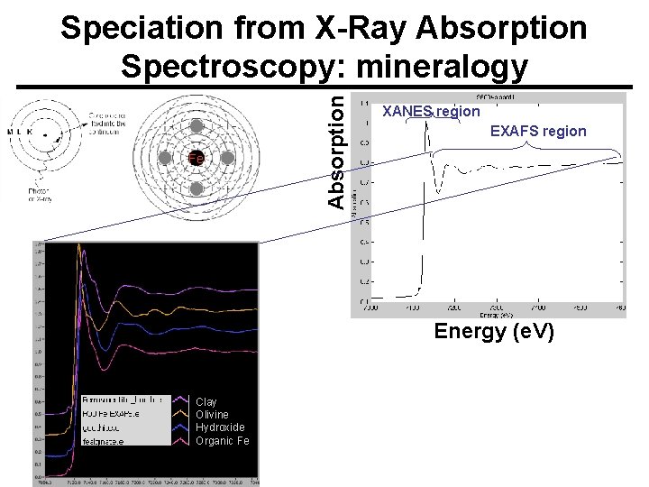 Fe Absorption Speciation from X-Ray Absorption Spectroscopy: mineralogy XANES region EXAFS region Energy (e.
