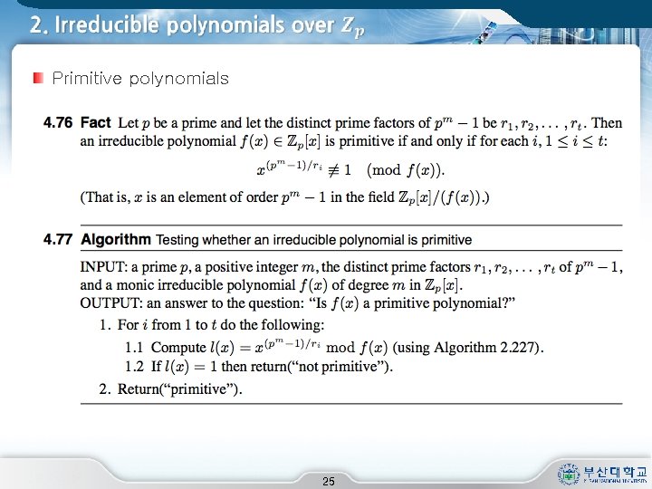  Primitive polynomials 25 