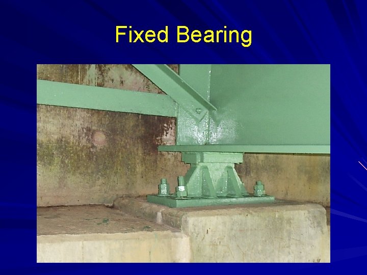 Fixed Bearing 
