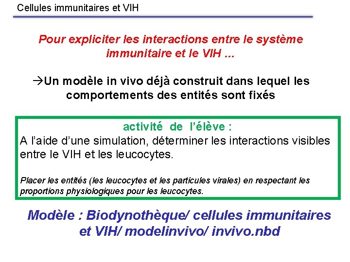 Cellules immunitaires et VIH Pour expliciter les interactions entre le système immunitaire et le