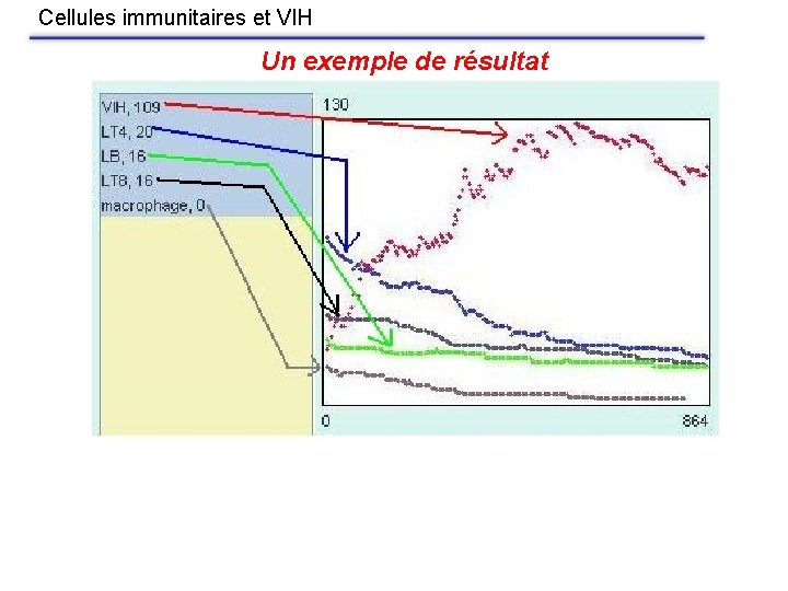 Cellules immunitaires et VIH Un exemple de résultat 