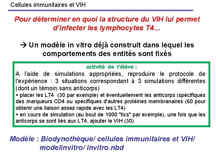 Cellules immunitaires et VIH Pour déterminer en quoi la structure du VIH lui permet