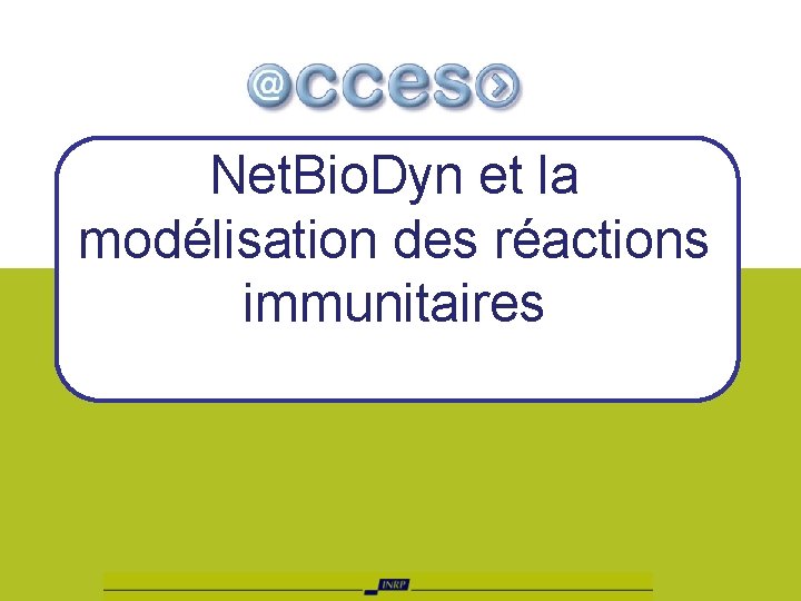 Net. Bio. Dyn et la modélisation des réactions immunitaires 