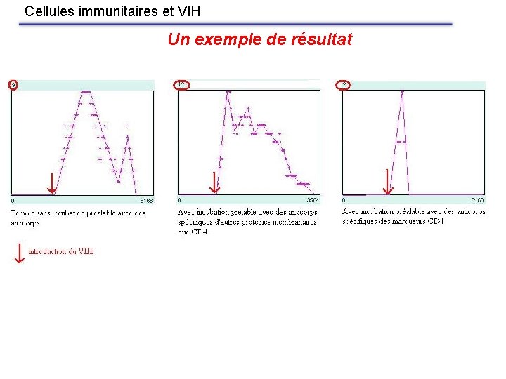 Cellules immunitaires et VIH Un exemple de résultat 