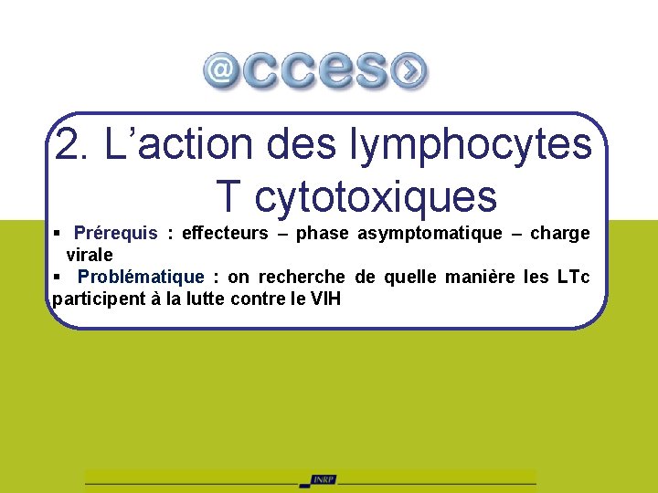 2. L’action des lymphocytes T cytotoxiques § Prérequis : effecteurs – phase asymptomatique –