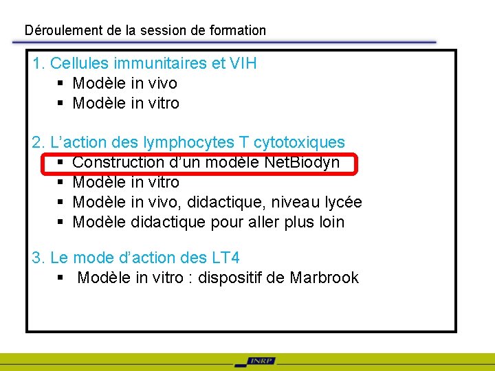 Déroulement de la session de formation 1. Cellules immunitaires et VIH § Modèle in