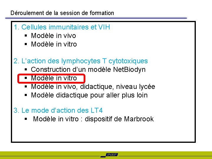 Déroulement de la session de formation 1. Cellules immunitaires et VIH § Modèle in