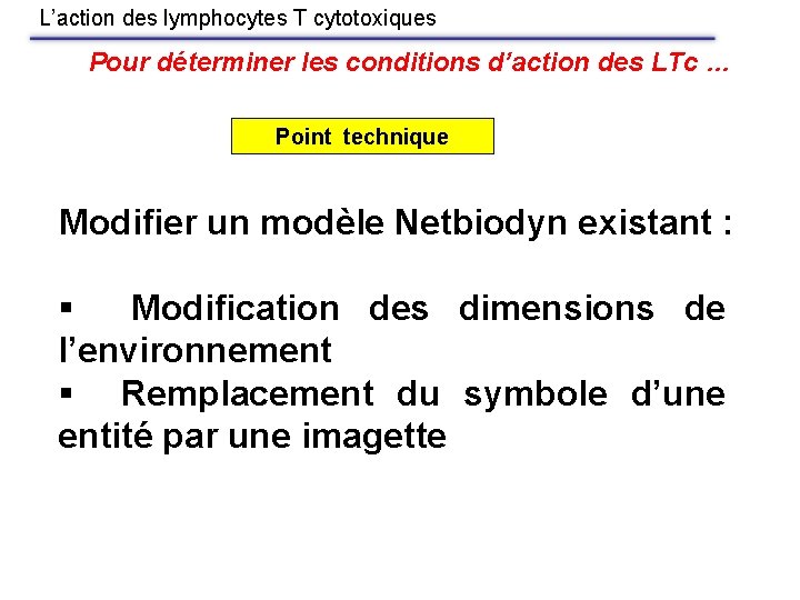 L’action des lymphocytes T cytotoxiques Pour déterminer les conditions d’action des LTc … Point