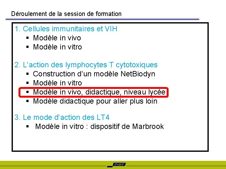 Déroulement de la session de formation 1. Cellules immunitaires et VIH § Modèle in