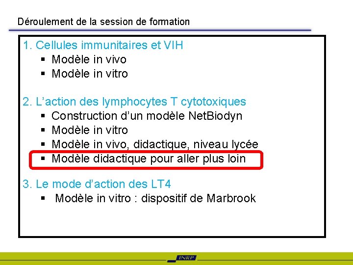 Déroulement de la session de formation 1. Cellules immunitaires et VIH § Modèle in