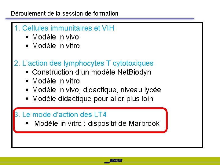 Déroulement de la session de formation 1. Cellules immunitaires et VIH § Modèle in