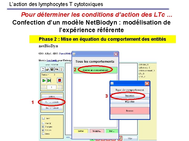 L’action des lymphocytes T cytotoxiques Pour déterminer les conditions d’action des LTc … Confection