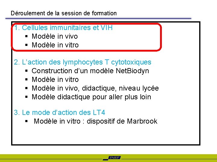 Déroulement de la session de formation 1. Cellules immunitaires et VIH § Modèle in