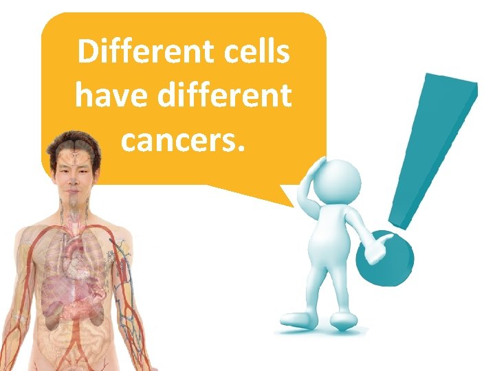 Different cells have different cancers. 