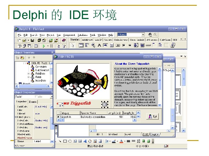 Delphi 的 IDE 环境 