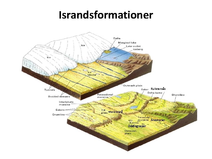 Israndsformationer Rullstensås Moränplatå Ändmorän Dödisgropar 