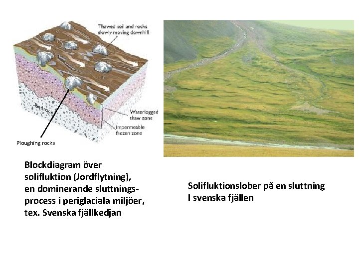 Ploughing rocks Blockdiagram över solifluktion (Jordflytning), en dominerande sluttningsprocess i periglaciala miljöer, tex. Svenska