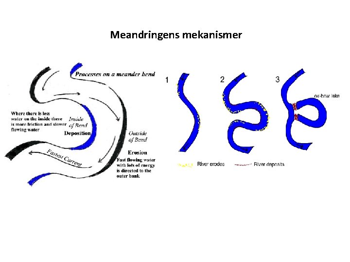 Meandringens mekanismer 