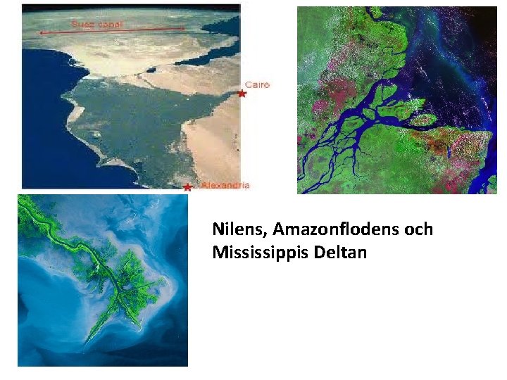Nilens, Amazonflodens och Mississippis Deltan 