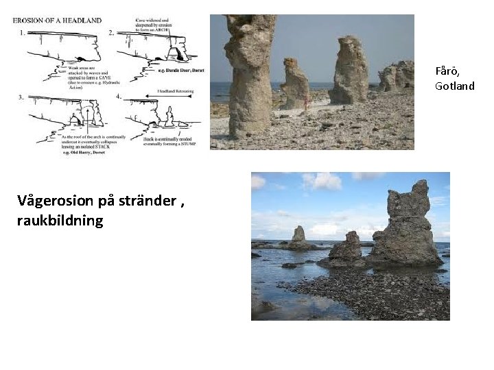 Fårö, Gotland Vågerosion på stränder , raukbildning 