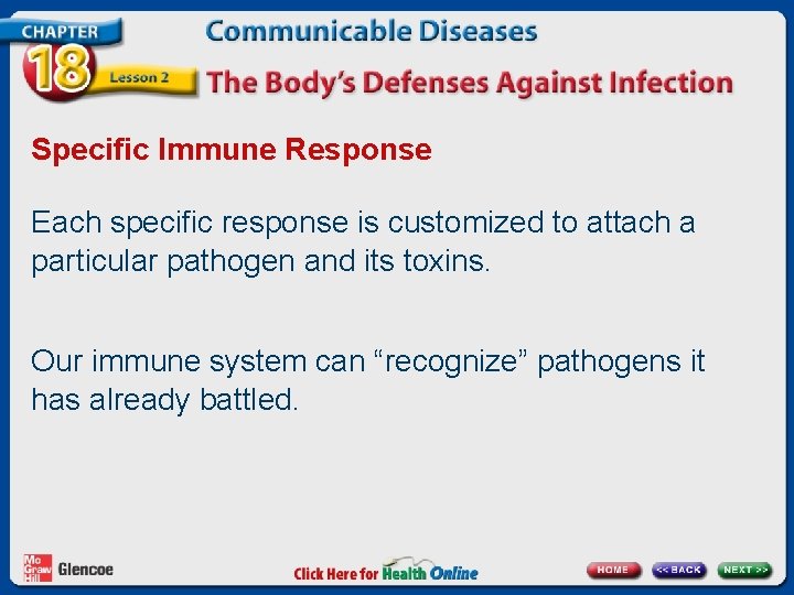 Specific Immune Response Each specific response is customized to attach a particular pathogen and