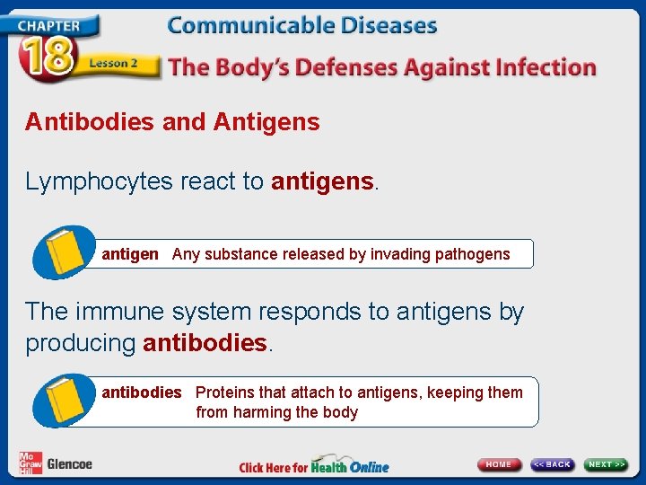 Antibodies and Antigens Lymphocytes react to antigens. antigen Any substance released by invading pathogens