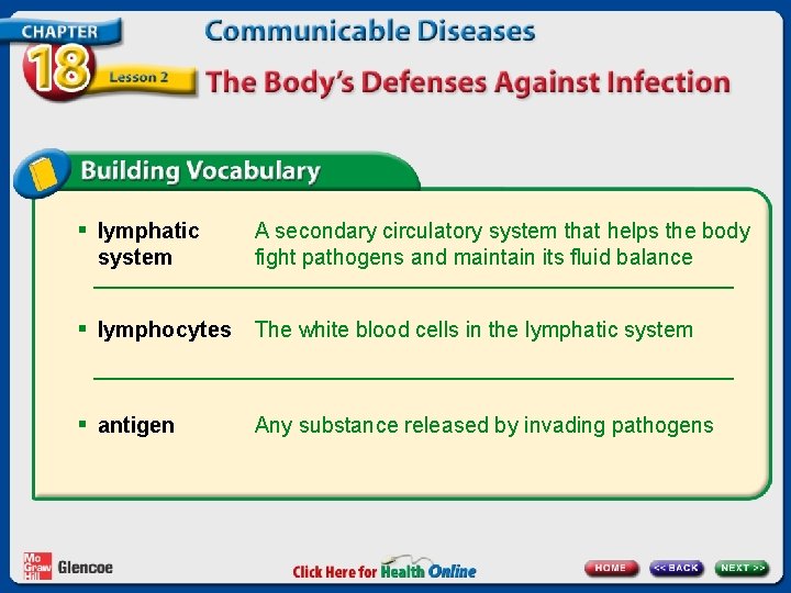 § lymphatic system A secondary circulatory system that helps the body fight pathogens and