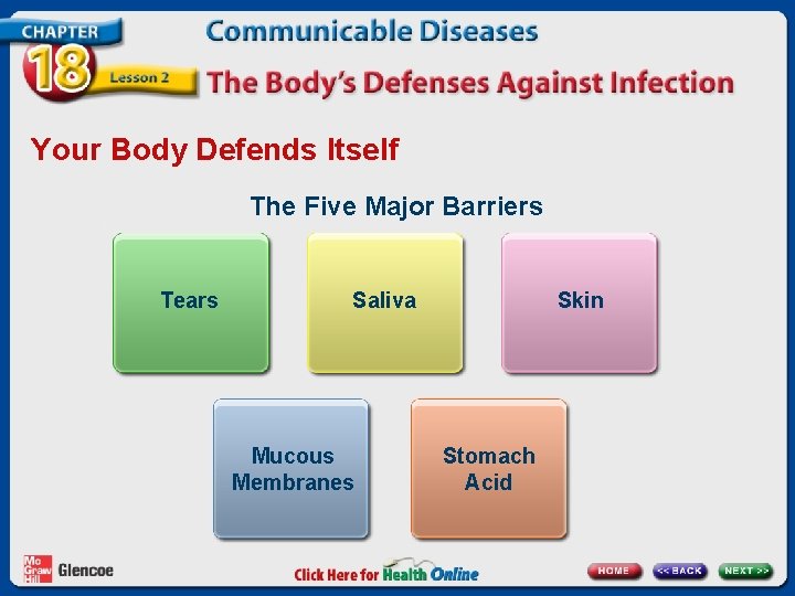 Your Body Defends Itself The Five Major Barriers Tears Saliva Mucous Membranes Skin Stomach