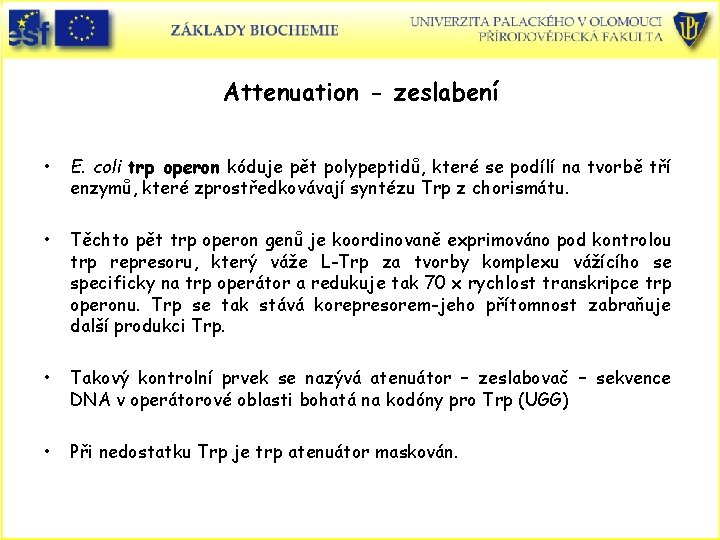 Attenuation - zeslabení • E. coli trp operon kóduje pět polypeptidů, které se podílí