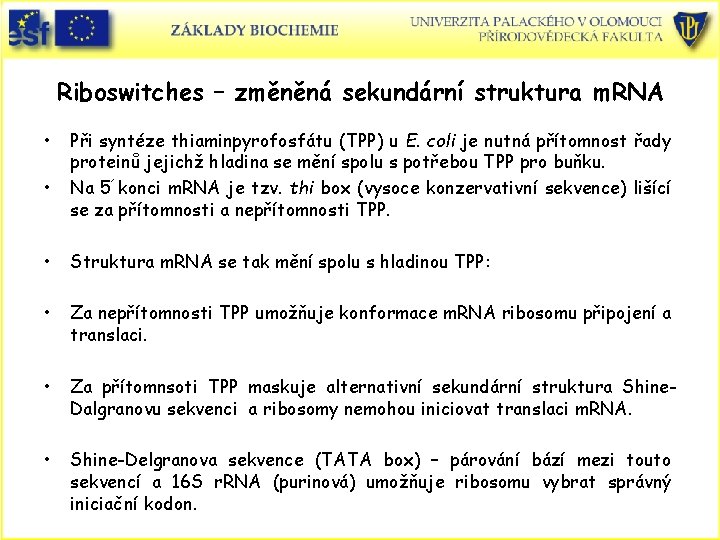 Riboswitches – změněná sekundární struktura m. RNA • • Při syntéze thiaminpyrofosfátu (TPP) u