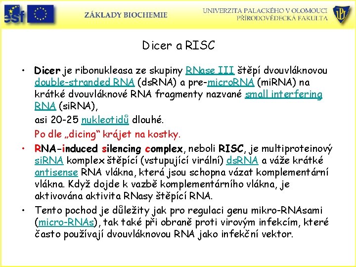 Dicer a RISC • Dicer je ribonukleasa ze skupiny RNase III štěpí dvouvláknovou double-stranded