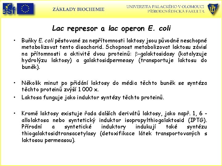 Lac represor a lac operon E. coli • Buňky E. coli pěstované za nepřítomnosti