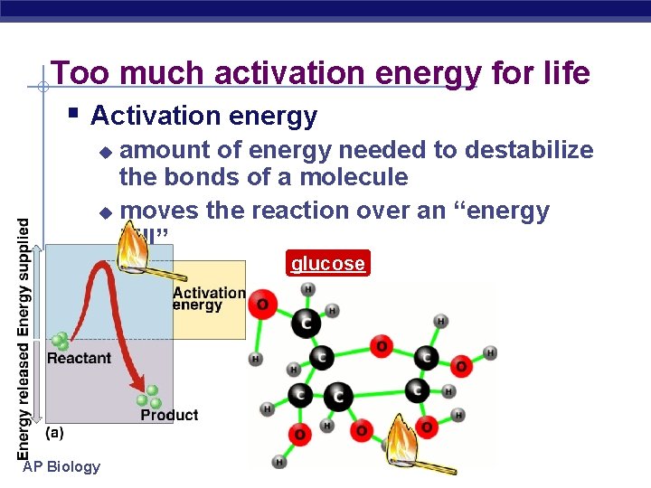 Too much activation energy for life § Activation energy amount of energy needed to