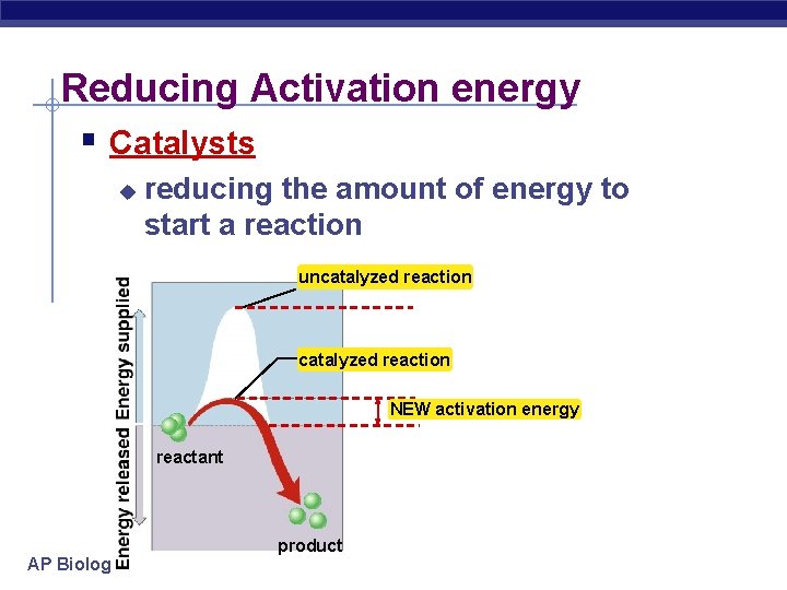 Why Is Reaching Activation Energy Necessary Metabolism Enzymes AP Biology Flow of energy through