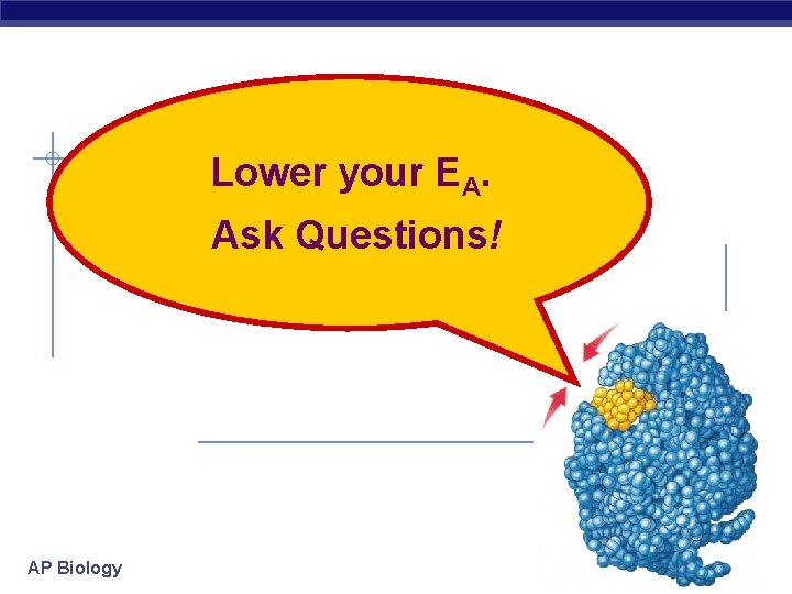 Lower your EA. Ask Questions! AP Biology 