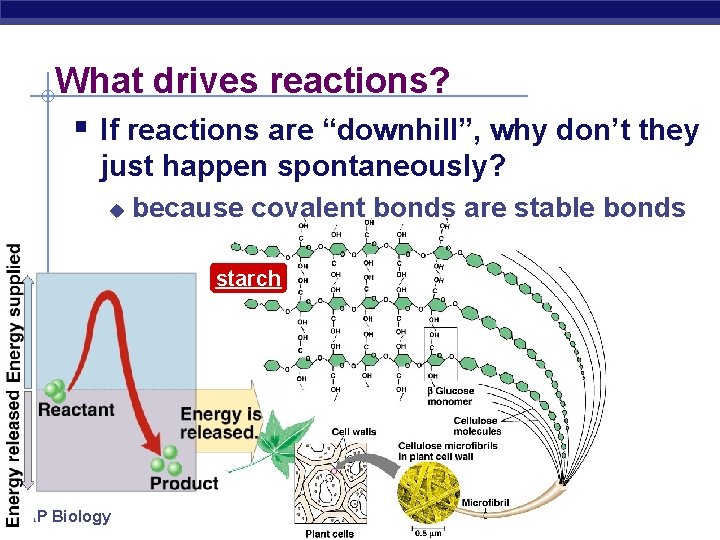 What drives reactions? § If reactions are “downhill”, why don’t they just happen spontaneously?