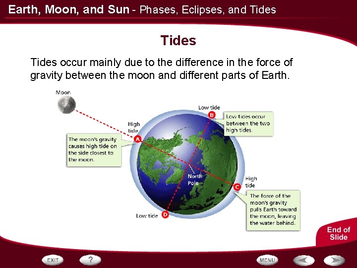 Earth, Moon, and Sun - Phases, Eclipses, and Tides occur mainly due to the