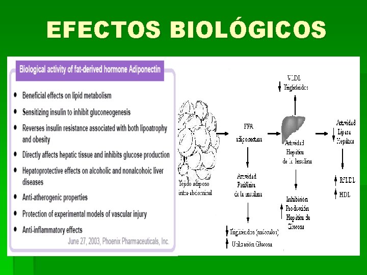 EFECTOS BIOLÓGICOS 