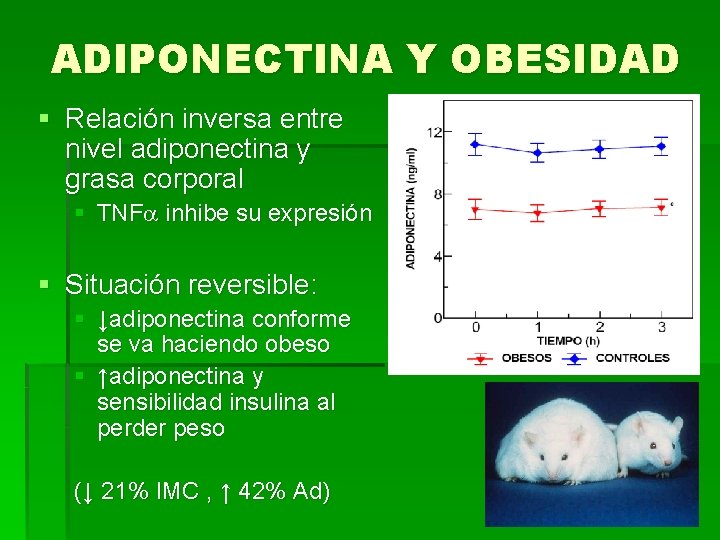ADIPONECTINA Y OBESIDAD § Relación inversa entre nivel adiponectina y grasa corporal § TNF