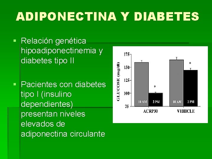 ADIPONECTINA Y DIABETES § Relación genética hipoadiponectinemia y diabetes tipo II § Pacientes con