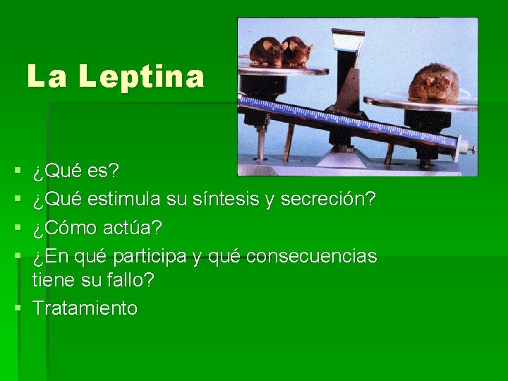 La Leptina § § ¿Qué es? ¿Qué estimula su síntesis y secreción? ¿Cómo actúa?