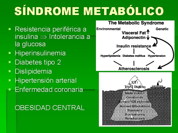 SÍNDROME METABÓLICO § Resistencia periférica a insulina Intolerancia a la glucosa § Hiperinsulinemia §