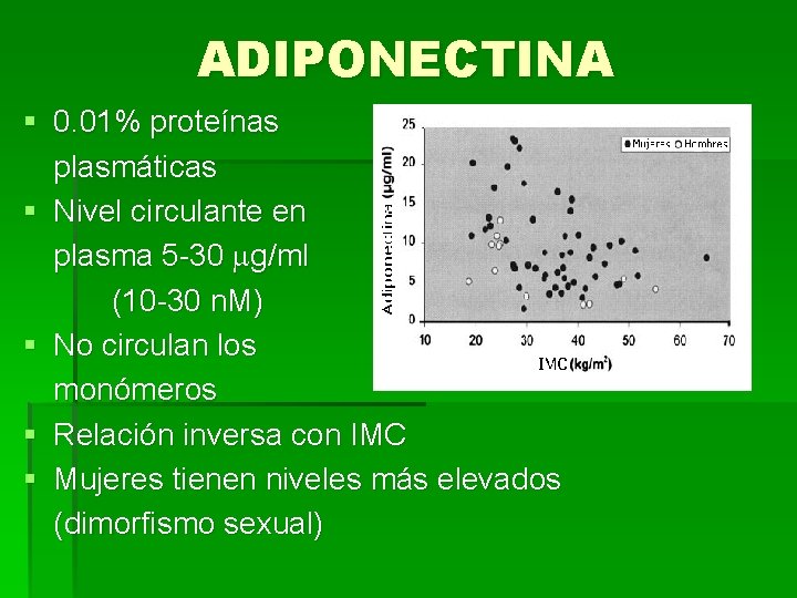 ADIPONECTINA § 0. 01% proteínas plasmáticas § Nivel circulante en plasma 5 -30 g/ml